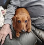 Dale Strouse - Facebook