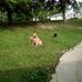 Dale Strunk - Facebook