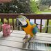 Dale Sult - Facebook