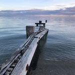 Dale Sutton - @dale.sutton.902 - Instagram