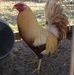 Dale Earl Sweatt - Facebook