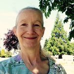 Dale Sweeney - @beesrus1 - Instagram