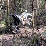 Dale Sweeney - @dale.sweeney.96 - Instagram