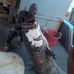 Dale Sweeting - Facebook