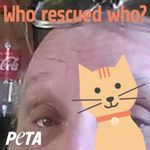 Dale Swift - @dale.swift.129 - Instagram