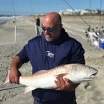 Dale Talbert - @talbert.dale - Instagram