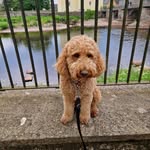 Tasker's Tails & Ales - @taskerstailsandales - Instagram