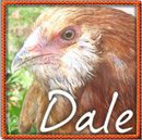 Dale Teter - Facebook