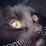 Dale Todd - @daz_toddy - Instagram