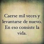 Dale Velez - @dale.velez - Instagram