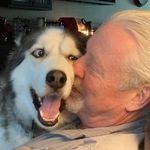 Dale Vickers - @dale_vickers - Instagram