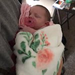 Josh Vick - @vickersdalee - Instagram