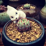 黑色王子 - @dale.wang - Instagram