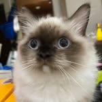 Dale Wang - @dale_jyy - Instagram