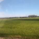 Dale Wang - @dalewang0430 - Instagram
