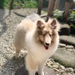 Dale Wang - Facebook