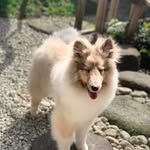 Dale Wang - @dalejppp - Instagram