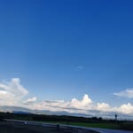 Dale Wang - @wangdale29 - Instagram