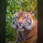 Dale Ware - @dale42002 - Instagram
