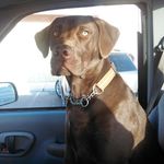 Dale Wayne Rhoades Jr - @dalewaynerhoades - Instagram