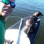 Dale Webber - @webber.dale - Instagram