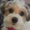 Dale Weidemiller - @dale.weidemiller - TikTok