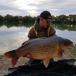 dale weldon - @weldon.dale - Instagram