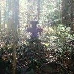 Dale Weldon - @ebonyfellszoo - Instagram