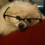 Dale Westcott - @dalekwestcott - Instagram