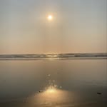 Dale whelan - @dalewhelan3 - Instagram