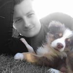 Dale Whyte - @whyte_sunset - Instagram