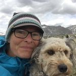 @dale_whyte - Instagram