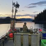 Dale Wick - @wickstick22 - Instagram
