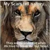 Dale Wilds - @dale.wilds0 - TikTok