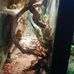 Feather Dale Wild Life Park - Facebook