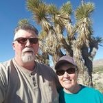 Dale Willard - @willbute_56 - Instagram