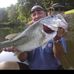 Dale Willard - Facebook
