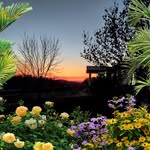 Dale Willits - @dalewillits - Instagram