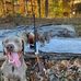 Dale Wildman - Facebook