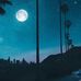 Dale Willman - Facebook