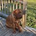 Dale Windsor - Facebook