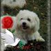 Dale Windsor - Facebook