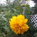 Dale Winn - Facebook