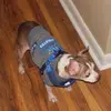 Dale Winningham - @dalewinningham - TikTok