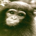 dale winterbottom - @dlwinterbottom58 - Instagram