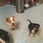 Dale Wiegman - Facebook