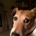 Dale Witte - Facebook
