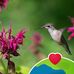 Dale Workman - Facebook