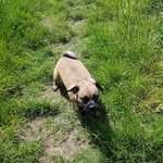Dale Wright - @dale.wright.180410 - Instagram