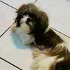 Idalia Alemán ❦ - @dalia_aleman03 - TikTok